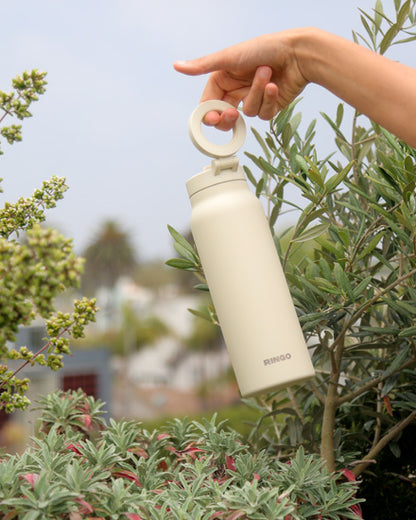 Ringo Pro XL (950ml) Ivory